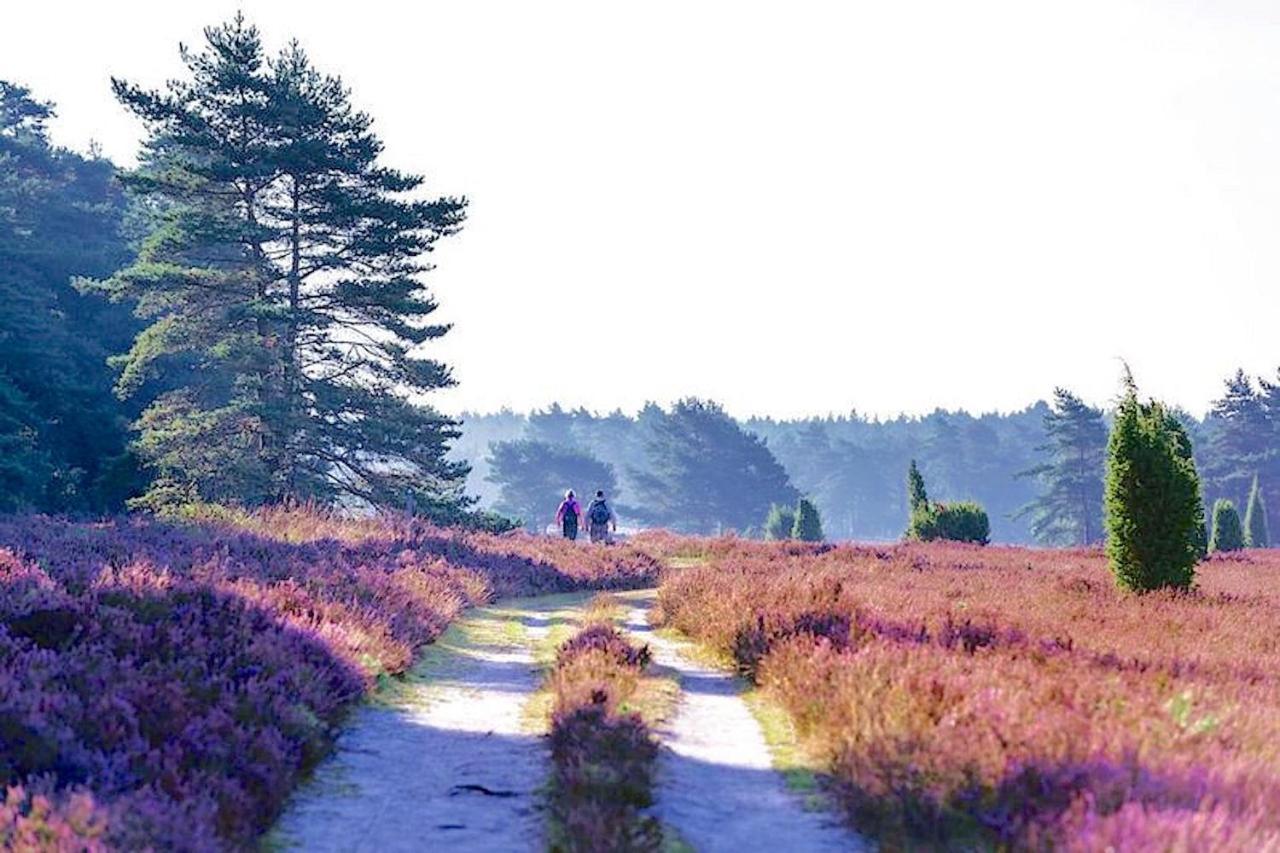 Ferienhaus Luneburger Heide Eschede Luaran gambar