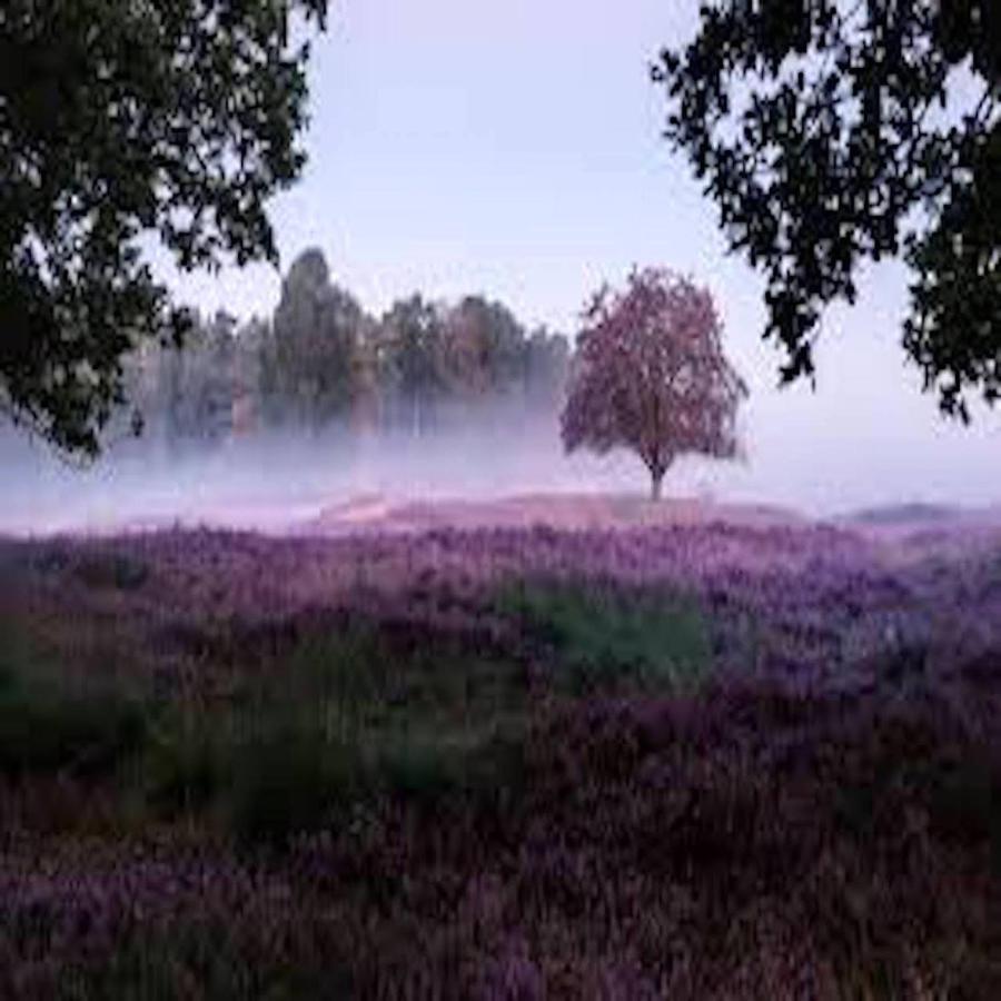 Ferienhaus Luneburger Heide Eschede Luaran gambar
