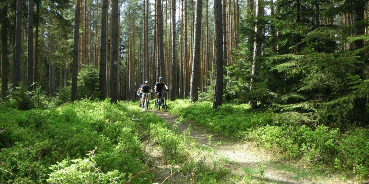 Ferienhaus Luneburger Heide Eschede Luaran gambar